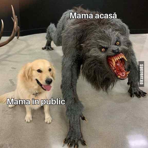 Mama Lasă Că Ajungem Noi Acasă Poze Haioase Imagini Amuzante