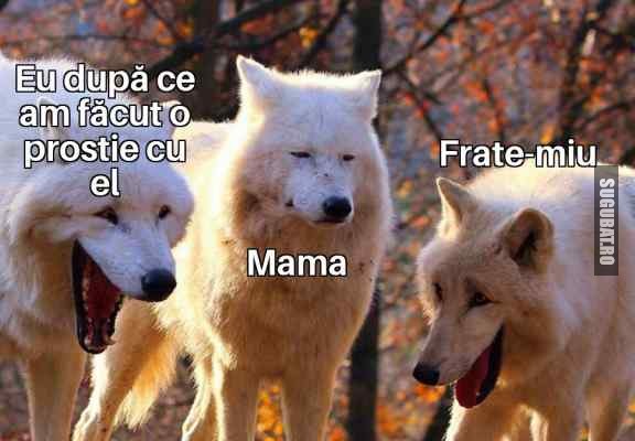 După fiecare prostie făcută