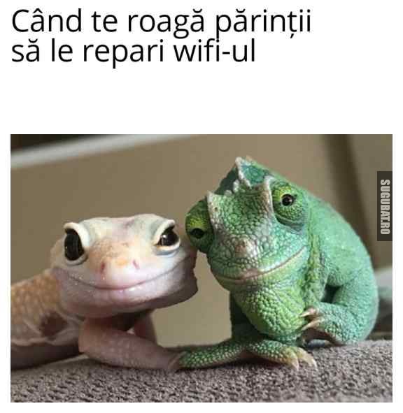 Fața părinților când vor ceva de la tine