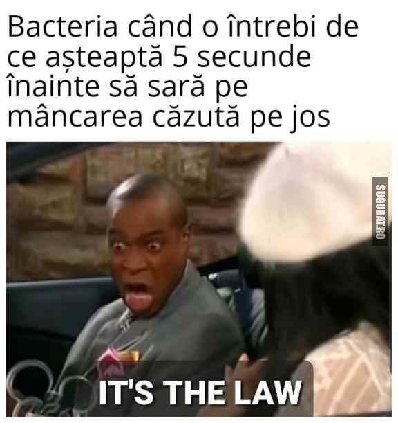 Bacteria cunoaște legea