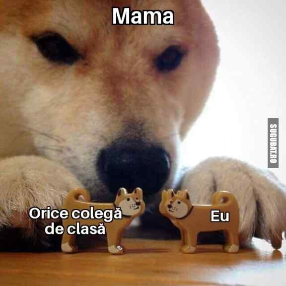 Mama și colegele de clasa