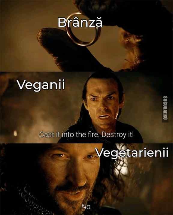 Veganii, vegetarienii și brânza