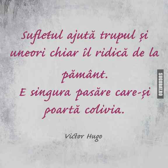 Sufletul ajută trupul - Victor Hugo