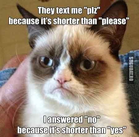 Grumpy Cat: Toti imi scriu plz pentru ca e mai scurt decat please