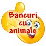 Bancuri cu Animale