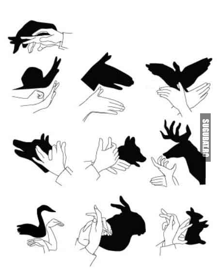 Cum sa faci animale cu degetele in umbra