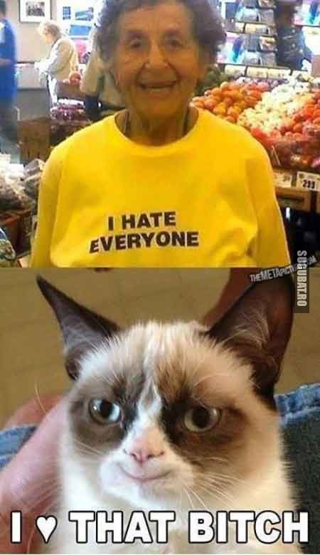 Grumpy cat: I love that bitch