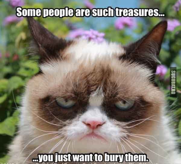 Grumpy Cat: Unii oameni sunt precum comorile, iti vine sa ii ingropi!