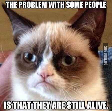 Grumpy Cat: Problema cu anumiti oameni este ca sunt inca in viata!