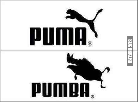 Puma - versiunea americanilor