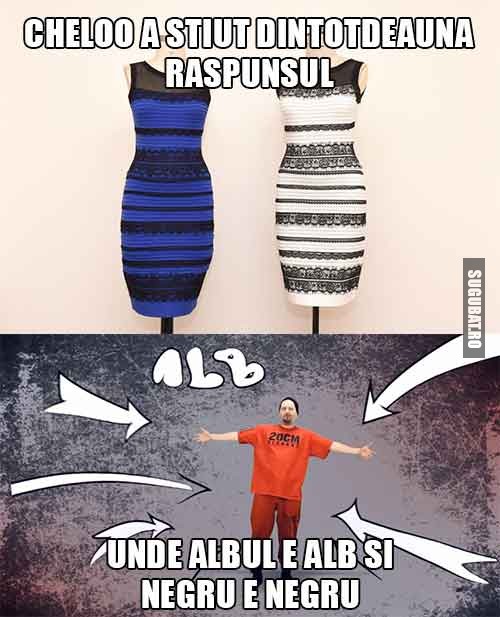 TheDress: Cheloo a stiut dintotdeauna raspunsul